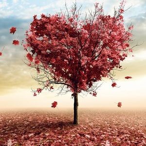 Meet your Posher, Lynn